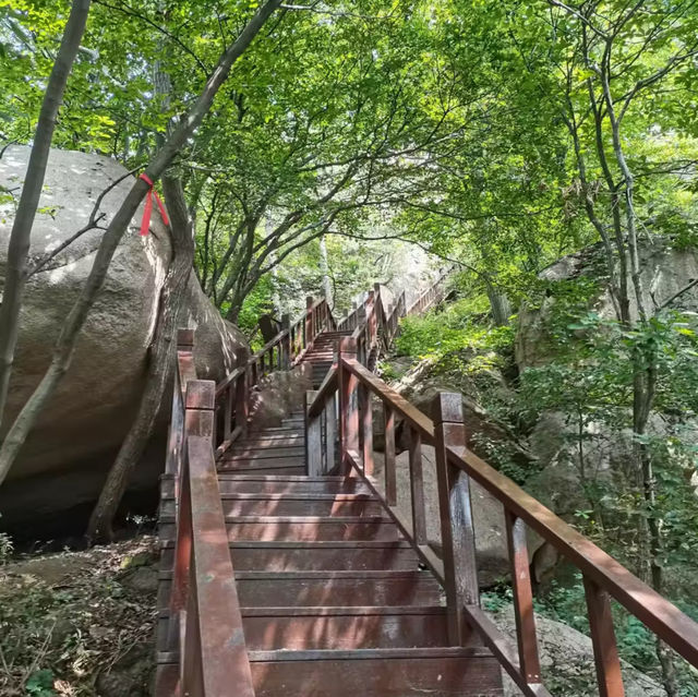 五桂山：猴子與水庫的山谷🐒🏞️