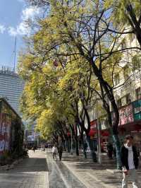 Kunming 2 Days Itinerary