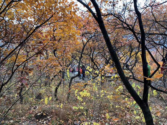 Pofeng Ridge 坡峰岭 is a Hidden Gem for Hikers 🌿🏞️