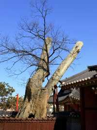 水原｜為祭祀蓋的華城行宮 看正祖手段與朝鮮靈魂之說