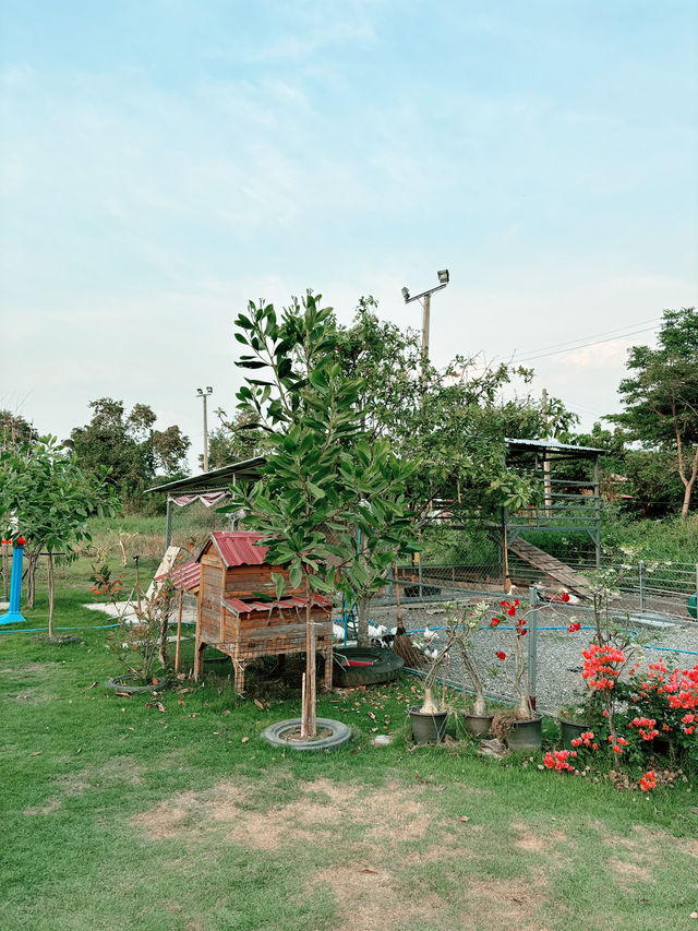 Peekaboo Cafe & Playground