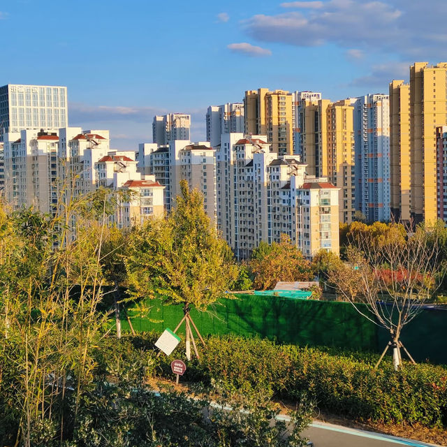 長堤公園~歡樂天地  