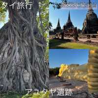 タイ旅行🇹🇭アユタヤ遺跡と像乗り体験