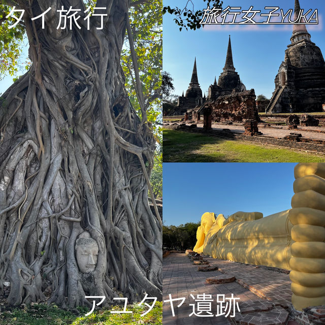 タイ旅行🇹🇭アユタヤ遺跡と像乗り体験