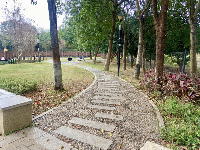 深圳寶安區親子好去處✨立新湖公園🌴❤️