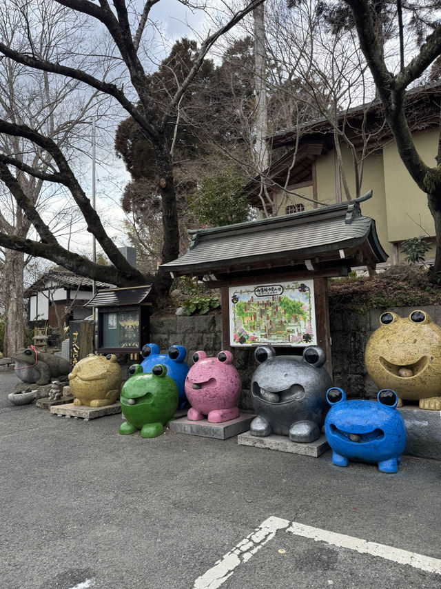 可愛すぎる！かえるの御朱印🐸