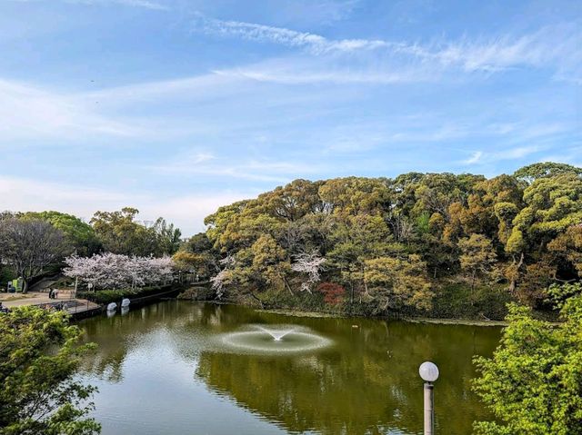 Tennoji Park (天王寺公園) – A Green Oasis in the City