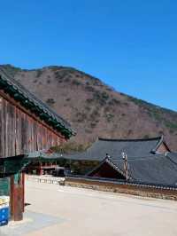 산에서 내려다보는 풍경이 예술
