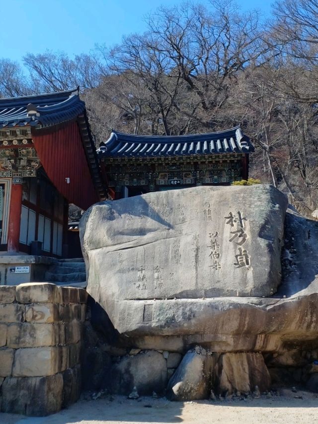 산에서 내려다보는 풍경이 예술