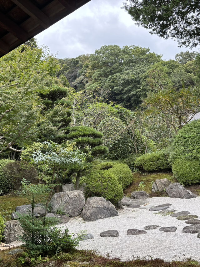  【神奈川県　鎌倉市の浄妙寺で耳を澄まし鳥のお喋りと水の音色を受け取る】 