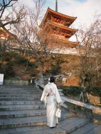 京都一日遊行程：清水寺 & 伏見稻荷大社