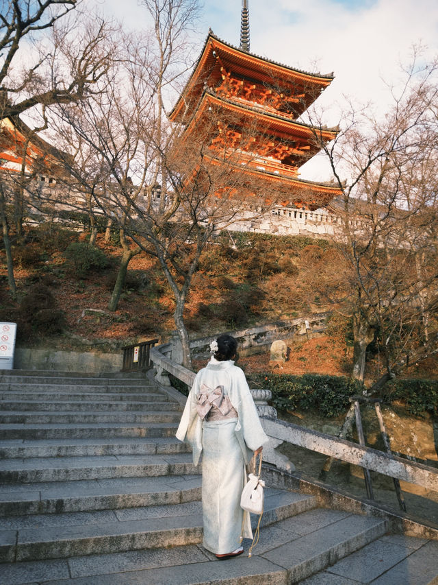 京都一日遊行程：清水寺 & 伏見稻荷大社