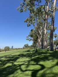 Kings Park Adventure: Nature, Views & Culture