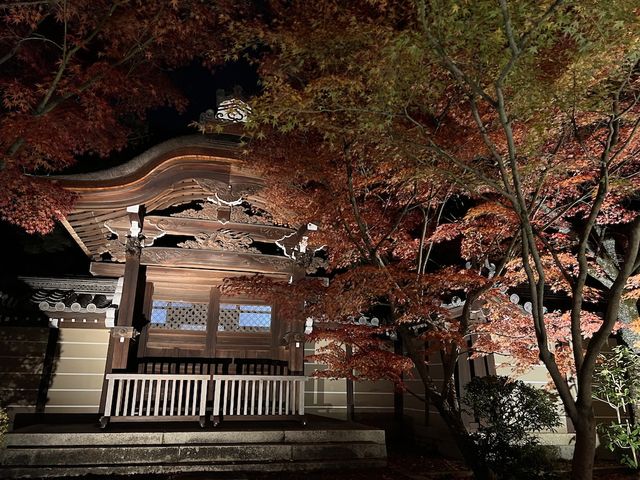  Nocturn Delights at the Eikando-ji Temple in Kyoto