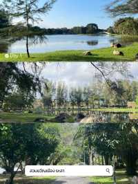 เที่ยวยะลา-ธารโต