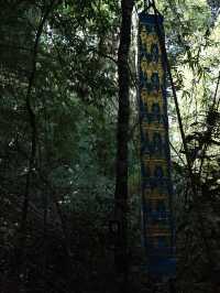 🌄 **【清邁素貼山徒步指南：雲霧與石階交織的朝聖路】** 📜  