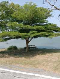 พักผ่อนหย่อนใจ ที่ สวนสาธารณะบึงหนองบอน