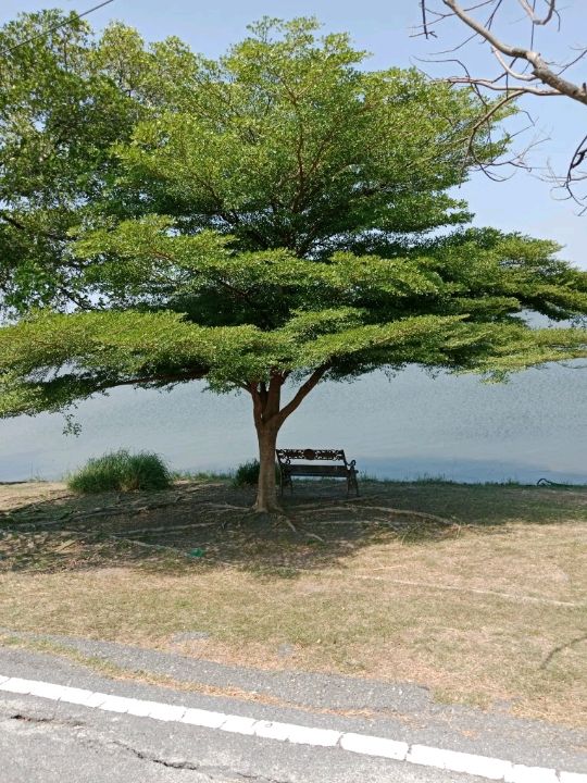 พักผ่อนหย่อนใจ ที่ สวนสาธารณะบึงหนองบอน