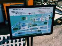 神話の舞台・天岩戸神社で神秘の空気を感じよう⛩✨
