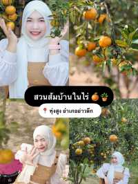 มัดรวม 5 คาเฟ่ อำเภออ่าวลึก จังหวัดกระบี่ 