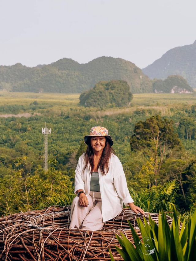 จุดชมทะเลหมอก จิบกาแฟ แลวิว