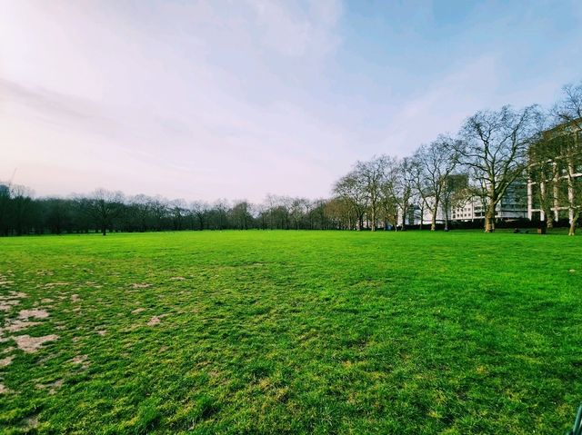 🌳 倫敦聖詹姆士公園：城市綠洲，享受英倫慢時光