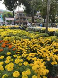 🌸 Ho Chi Minh City Flower Markets | A Burst of Color for Tết 🌿✨