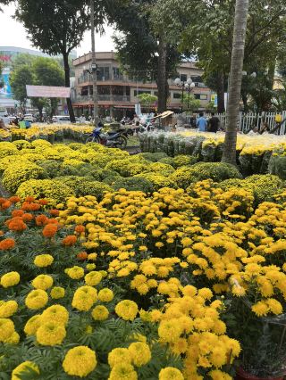 🌸 Ho Chi Minh City Flower Markets | A Burst of Color for Tết 🌿✨