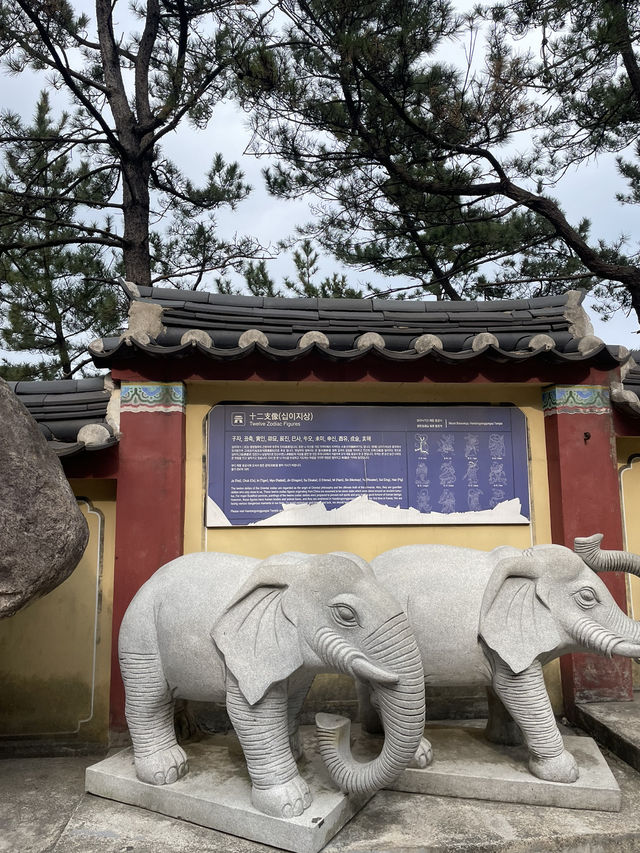 부산 기장에서 만난 바다가 보이는 절, 해동 용궁사