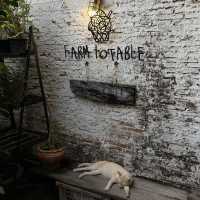 Farm to Table คาเฟ่ลับย่านปากคลองตลาด