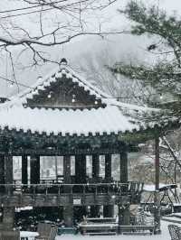 눈오는날 가고 싶은 경남 데이트 카페