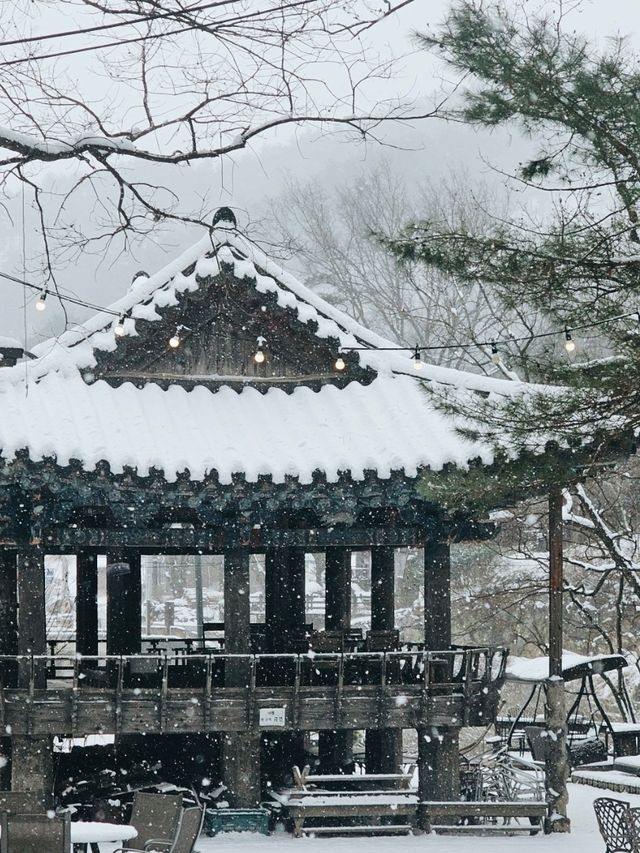 눈오는날 가고 싶은 경남 데이트 카페
