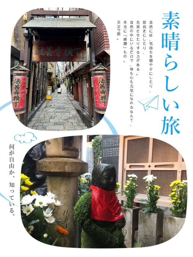 百年青苔佛像係咩料😂