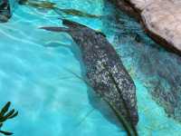 家族で楽しむ都心のリフレッシュポイント – 上野動物園で癒しのひととき