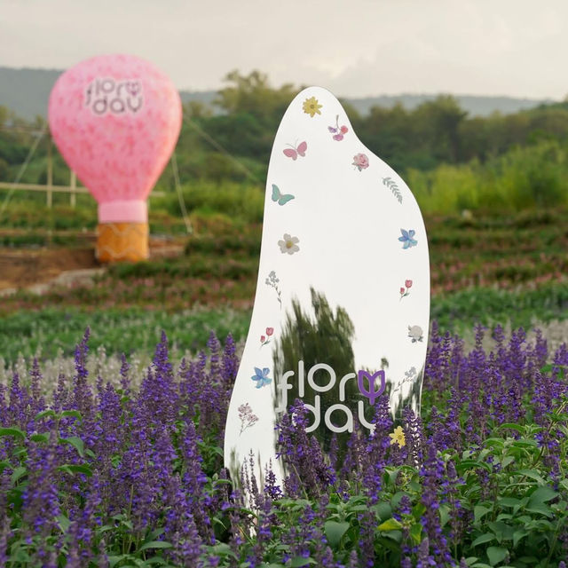 Floryday Khaoyai • Nakhon Ratchasima  🌨️🌸🌾🌷