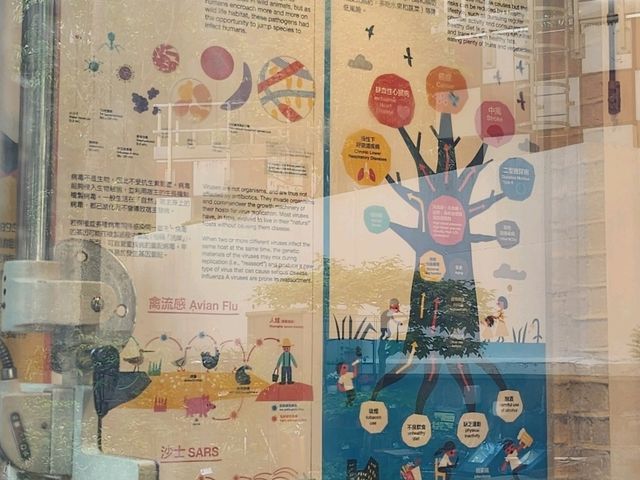 🏥香港醫學博物館🏛️