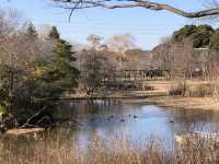 歴史も季節のうつろいも野鳥のくつろぎも感じられる とてもよい公園