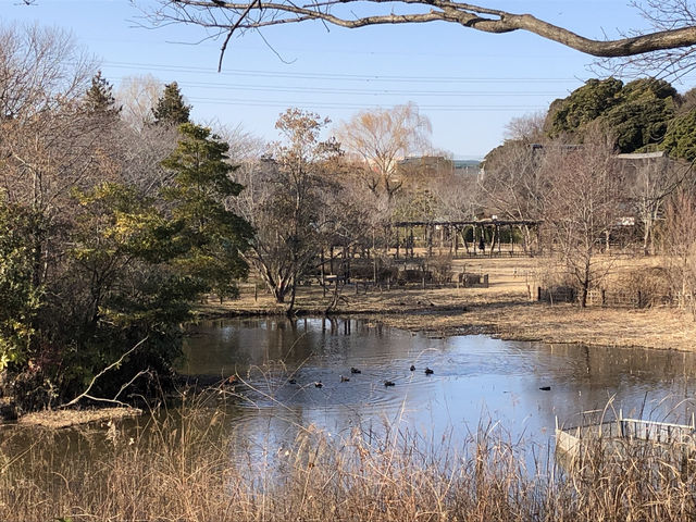 歴史も季節のうつろいも野鳥のくつろぎも感じられる とてもよい公園