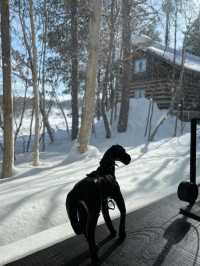 北海道旭川必體驗🐎夢幻雪地行程（老少咸宜）