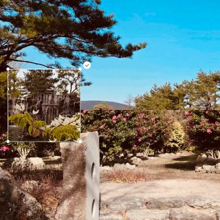 봄의 사진 예술 정원