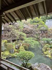 【京都×春旅】  風情ある景色、庭園、建築技術は素晴らしい