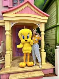 Warner Brothers World Abu Dhabi 