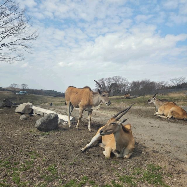 아이와 함께한 3박 4일 후쿠오카 여행 일정