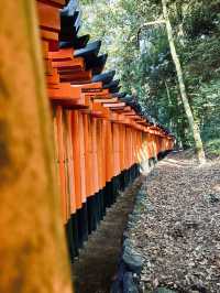 Japan: A Journey to Remember