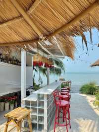 maew lay - แมวเล cafe & farm🌊☘️😸