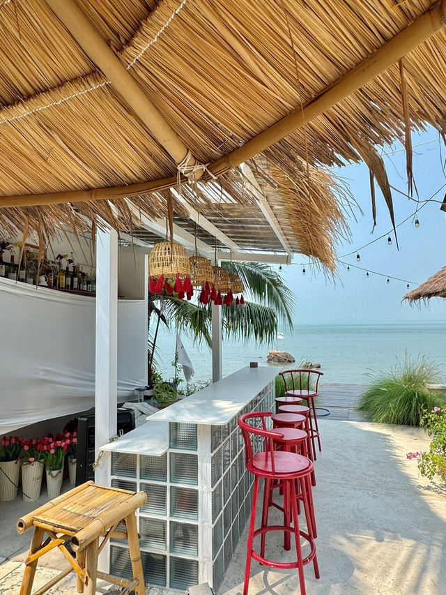 maew lay - แมวเล cafe & farm🌊☘️😸