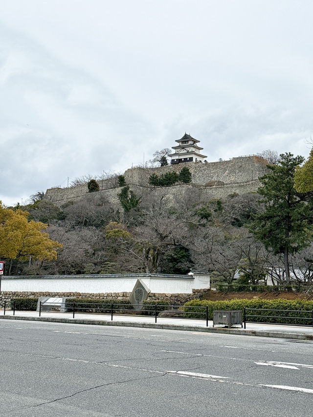 【丸亀】日本一高く美しい石垣⭐️現存の名城✨