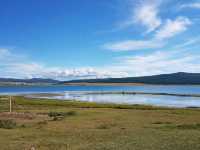 Khovsgol’s Wild Beauty: Moose, Mirror-Like Lakes, and Sustainable Adventures