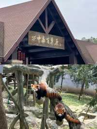 Best Autumn Spots in Huzhou 🍂🍁