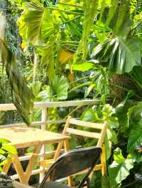 หลง ณ 𝚌𝚘𝚏𝚏𝚎𝚎 𝚋𝚛𝚎𝚊𝚔 🌿☕